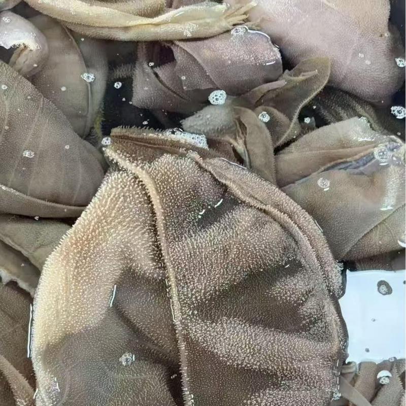 毛肚叶片[3斤*1包]